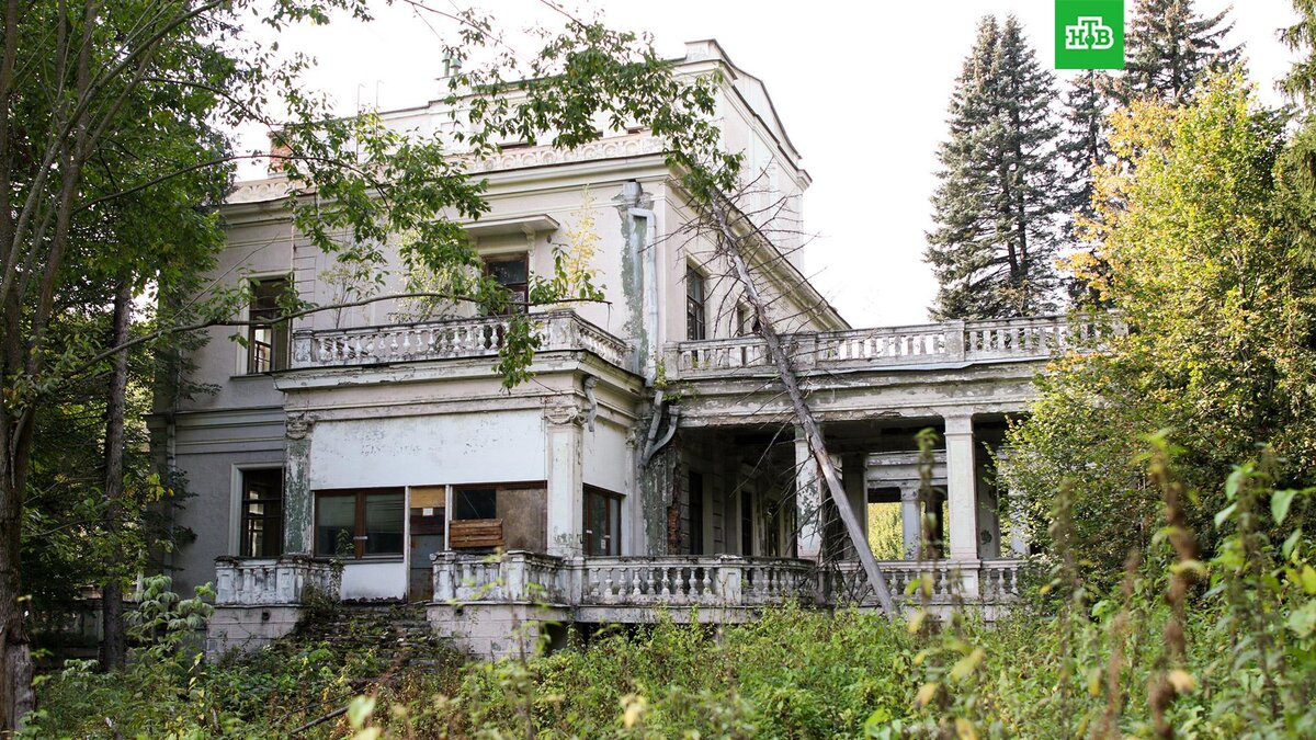    Фото: Денис Бочаров / TACC