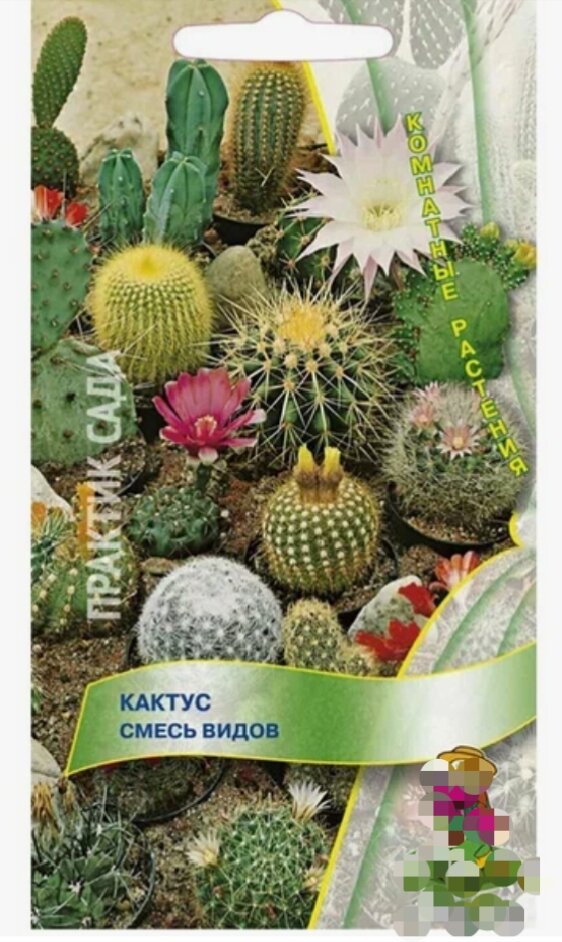 Самый обычный пакетик