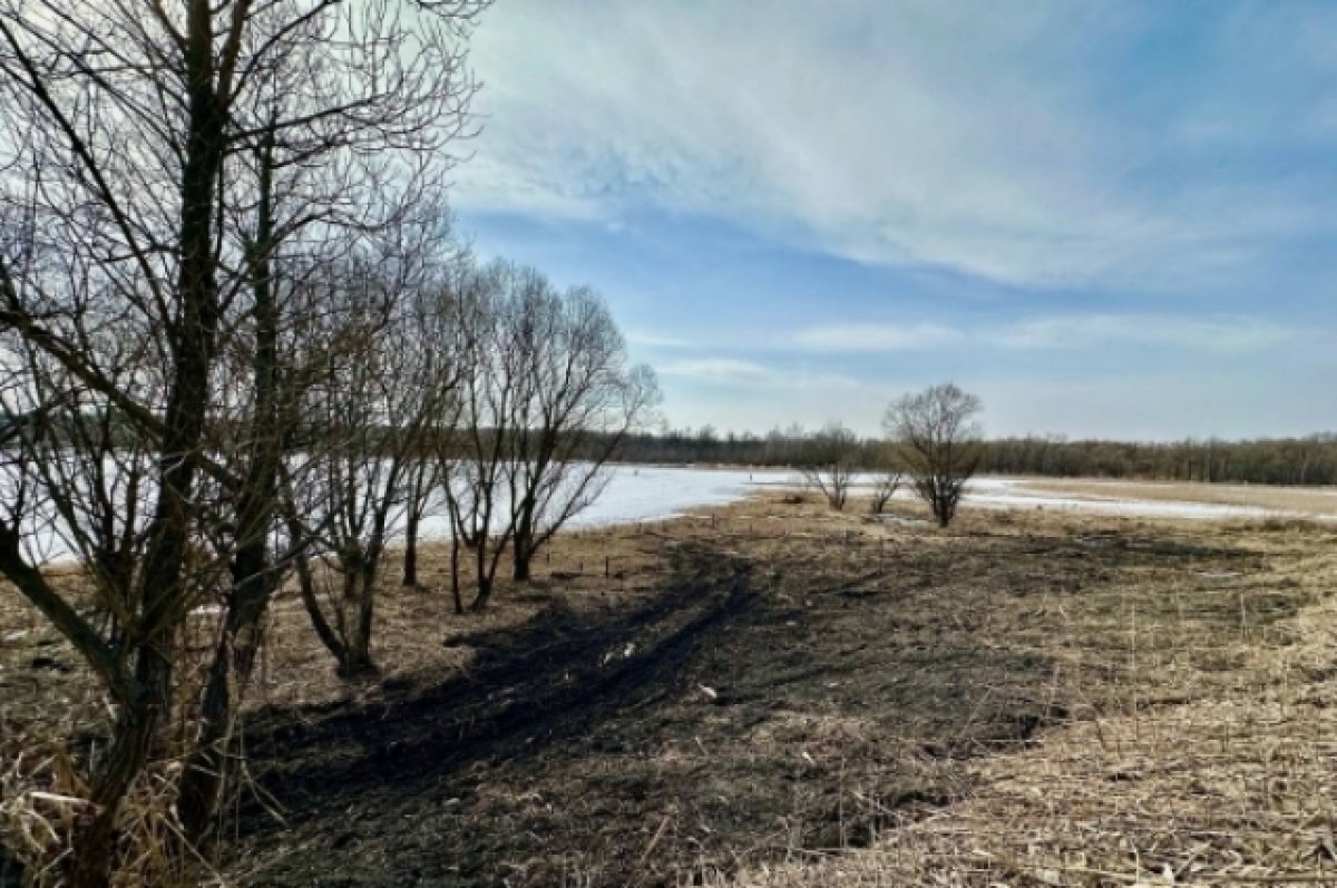    Вячеслав Гладков: в Губкине началось преображение городского пляжа
