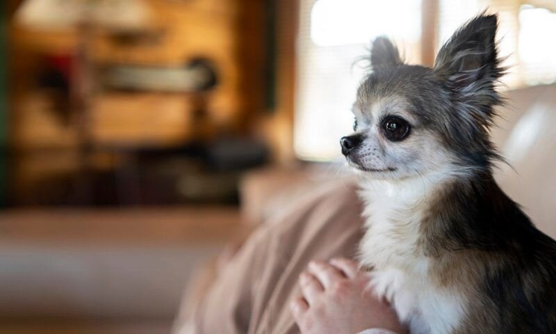 Фото freepik.com