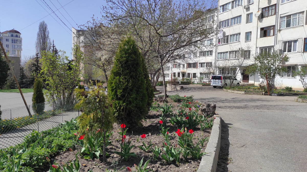 Клумба между домом и дорогой. Фото: Кирилл Полиенко/Polienko: путешествуем вдвоём