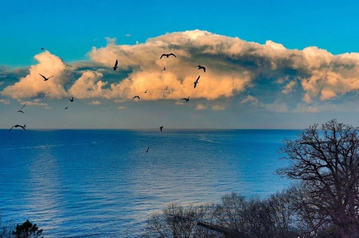    Поездки в Сочи подорожали для томичей на 18%