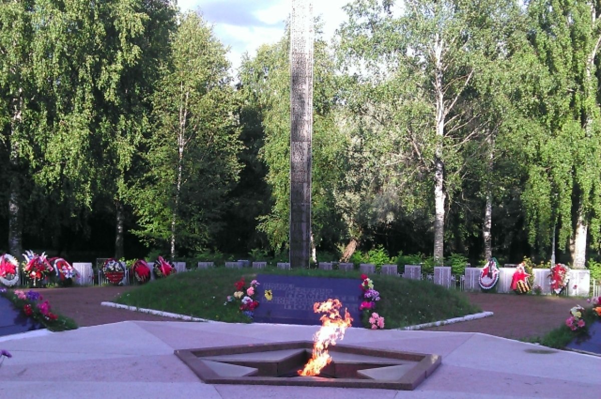    Прикурив от Вечного огня в Киришах, мужчина стал фигурантом уголовного дела