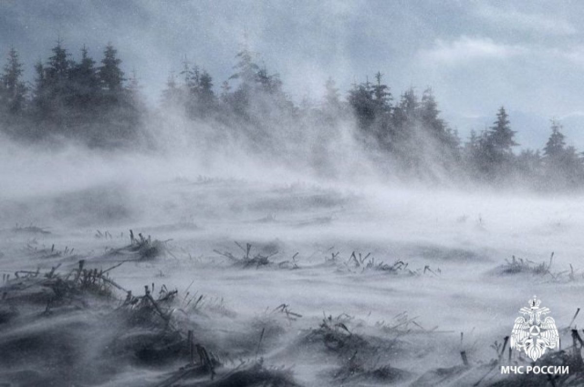    В Тверской области ожидается усиление западного ветра с порывами до 19 м/с