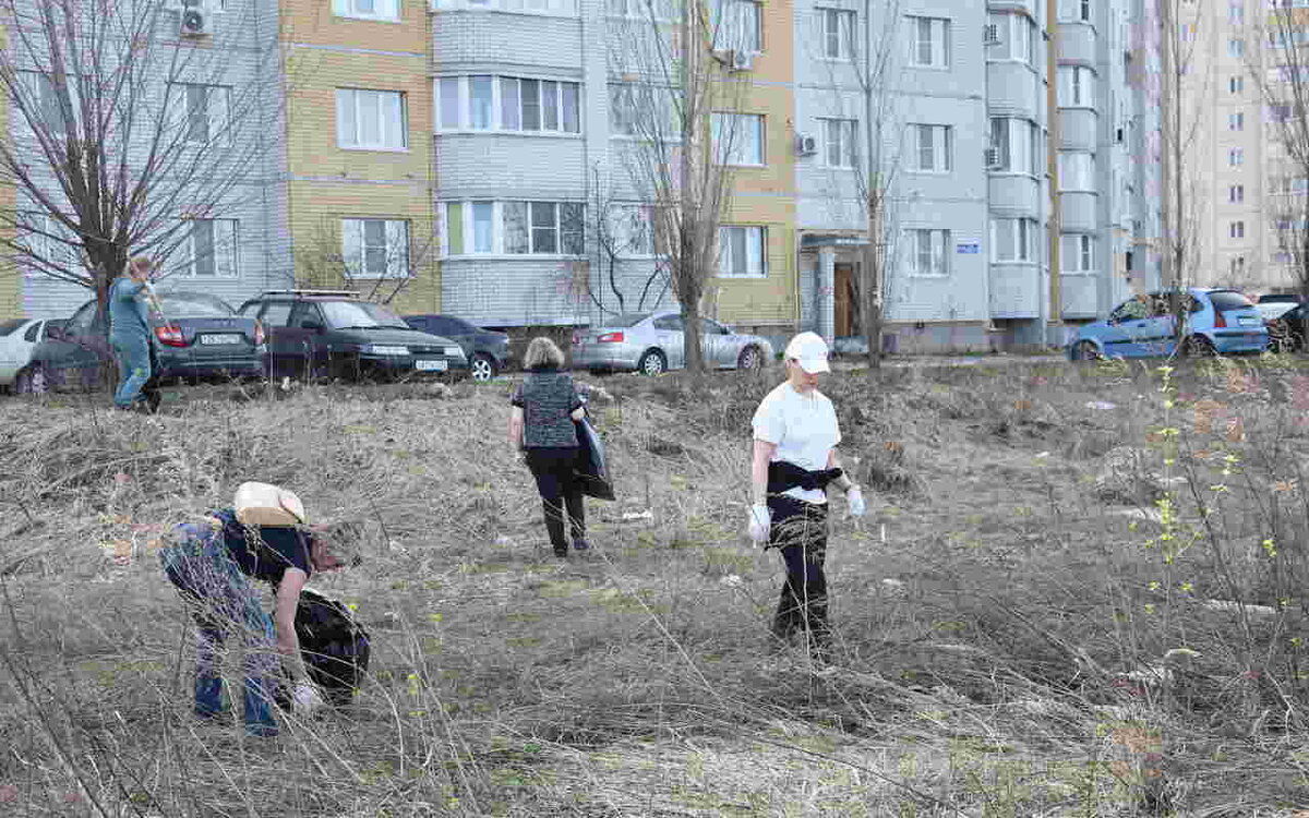 Санитарный день прошел в Железнодорожном районе | Горком36 | Воронеж | Дзен