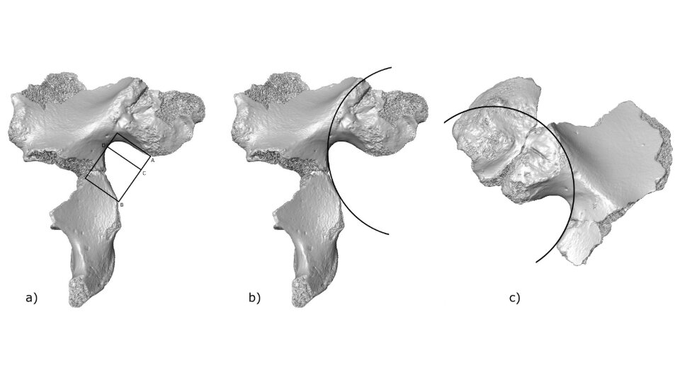   Rebeka Rmoutilova et al. / Journal of Human Evolution, 2024