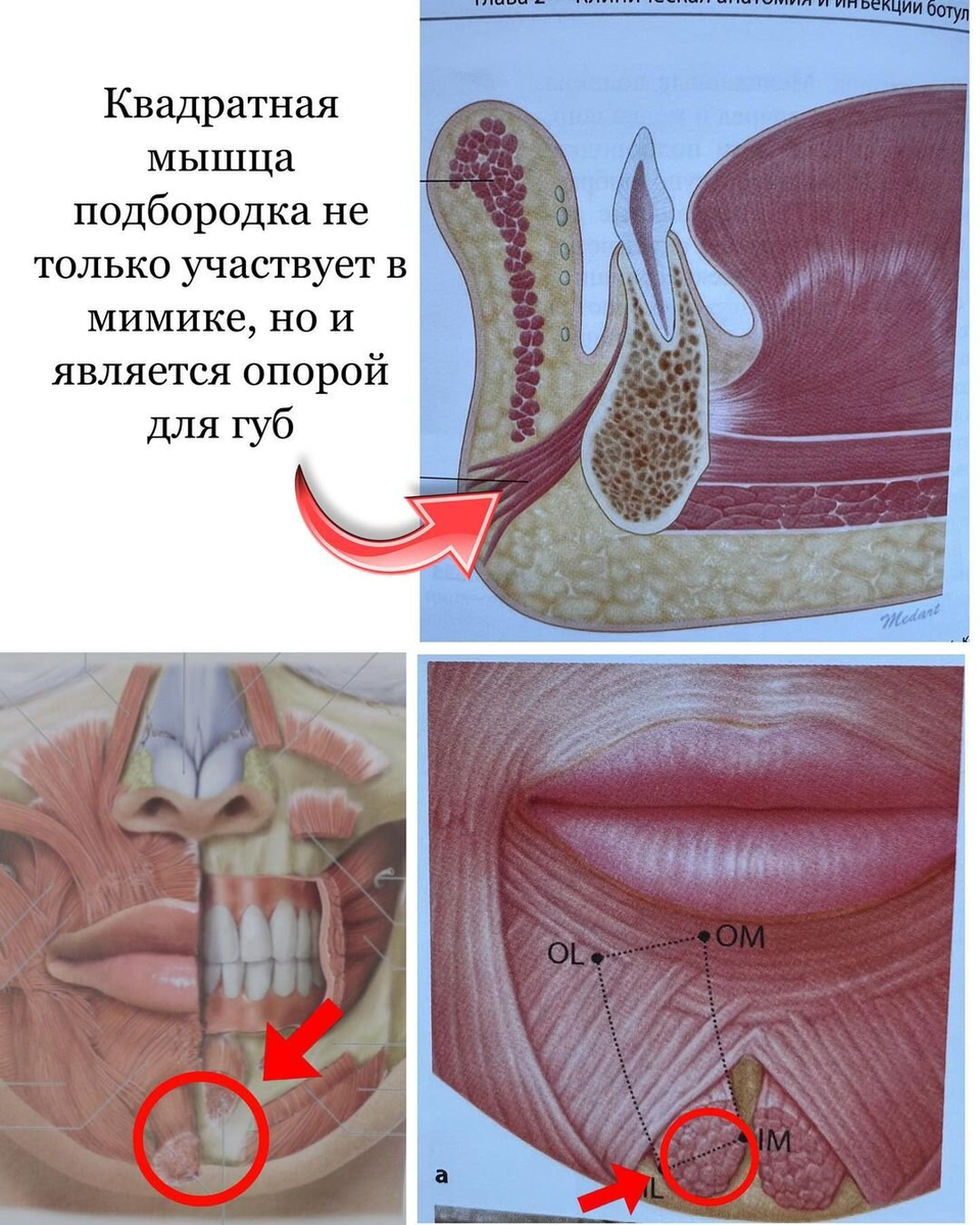 📍Я считаю, что подбородок - самая недооцененная зона нашего лица.-2