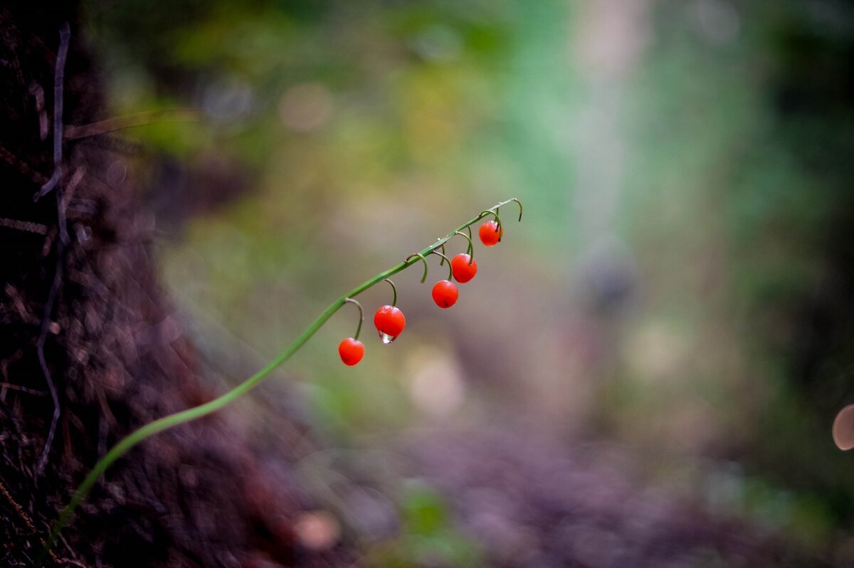 ..проходит секунда другая и ты можешь разглядеть