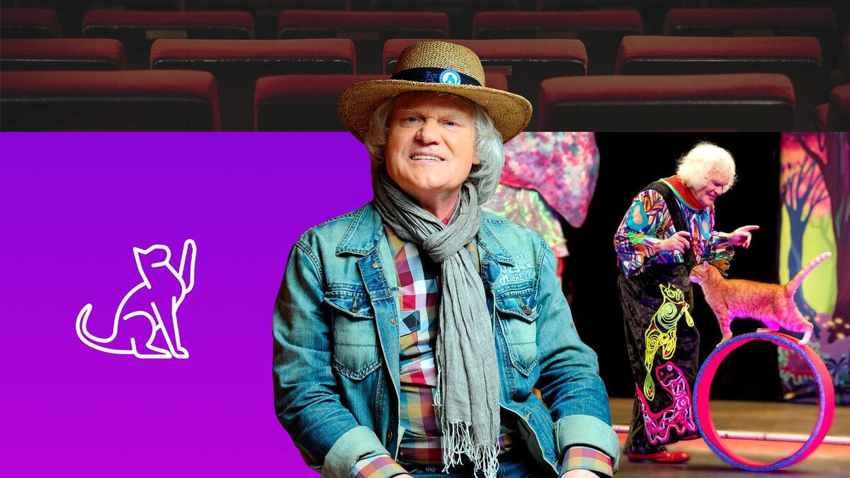 Коллаж 78.ru: Pravda Komsomolskaya/globallookpress.com, vk.com/Юрий Куклачёв, unsplash.com, flaticon.com/Freepik