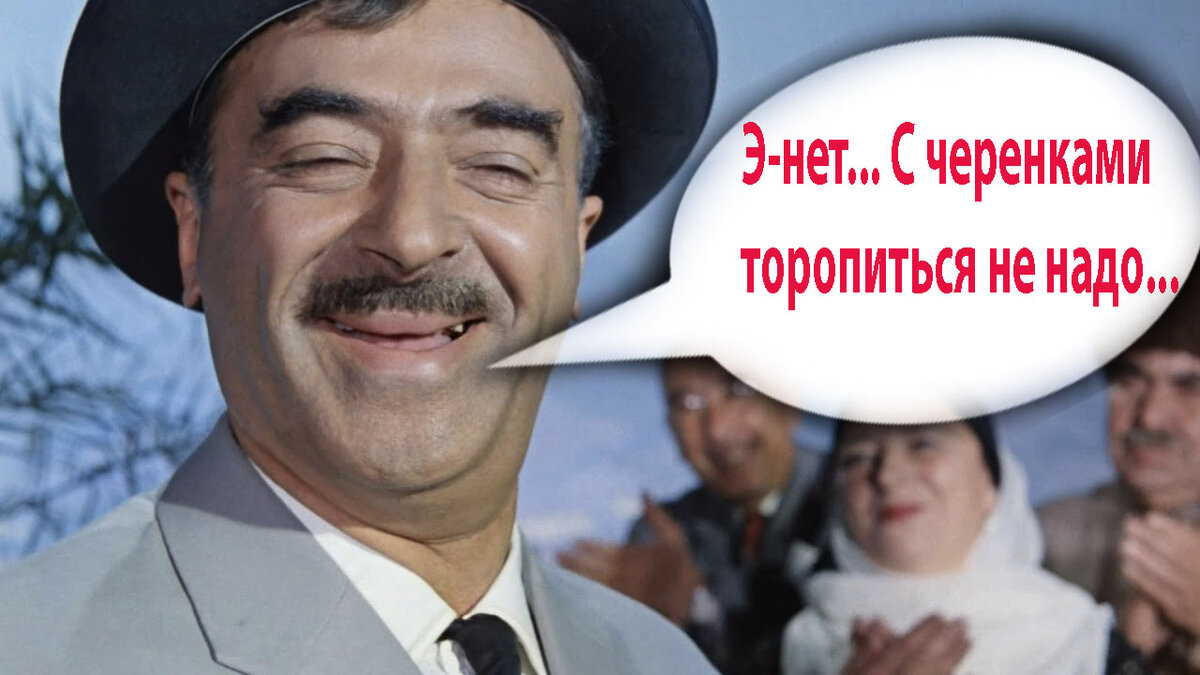 Как совершенно заметил товарищ Саахов, торопиться не надо.