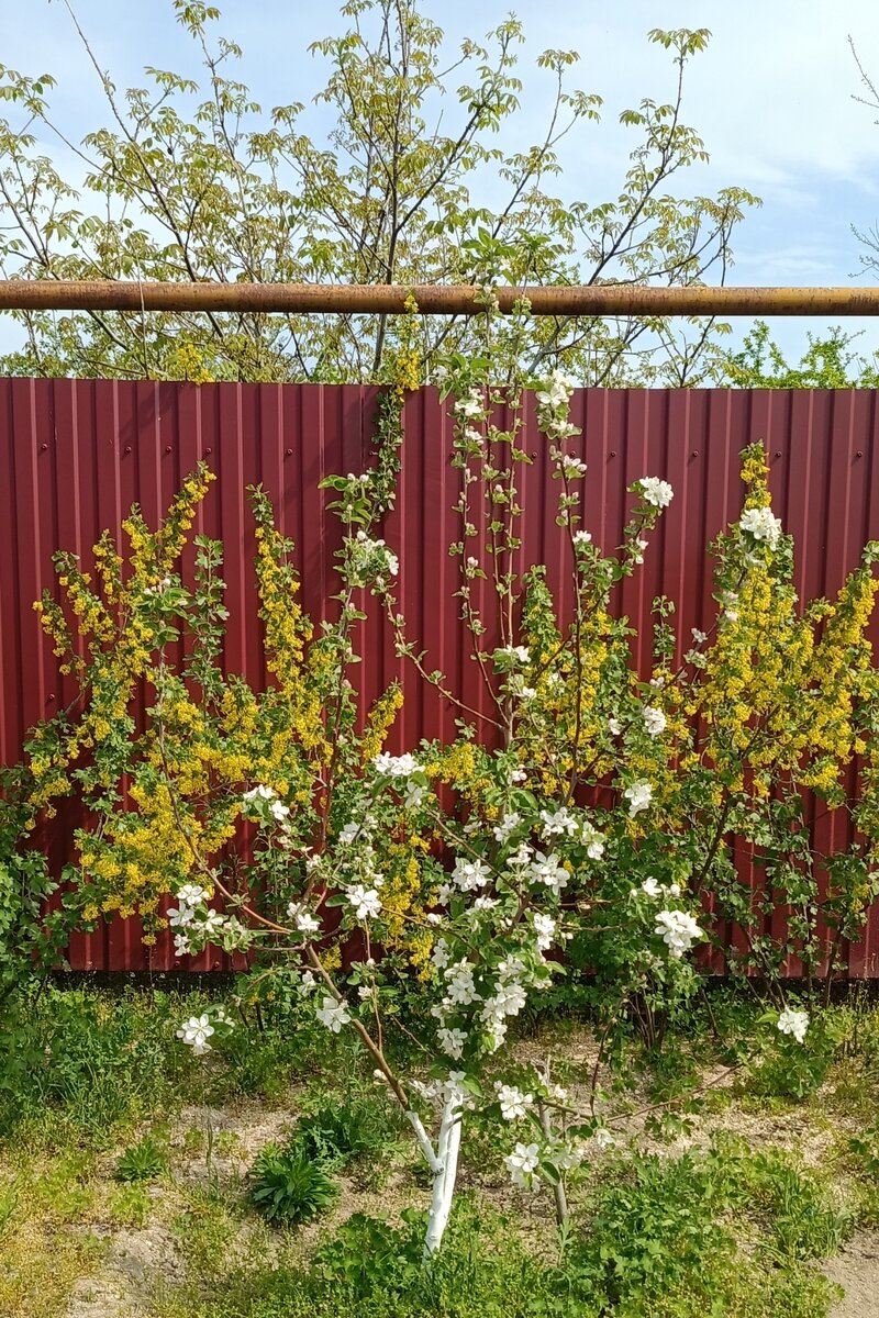 Это и все остальные фото автора