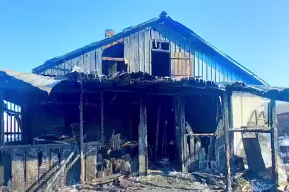    Приют для пожилых и инвалидов располагался в деревянном бараке.