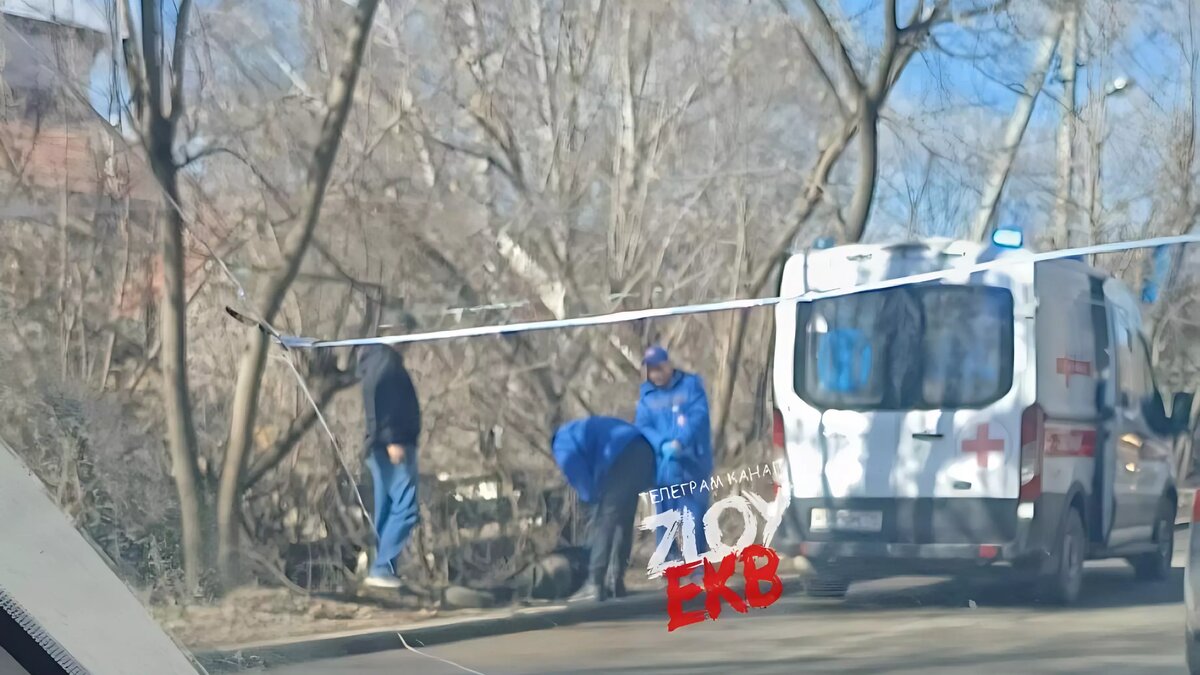 В Екатеринбурге на улице Проезжей обнаружили тело мужчины | Новости Тагила  TagilCity.ru | Дзен