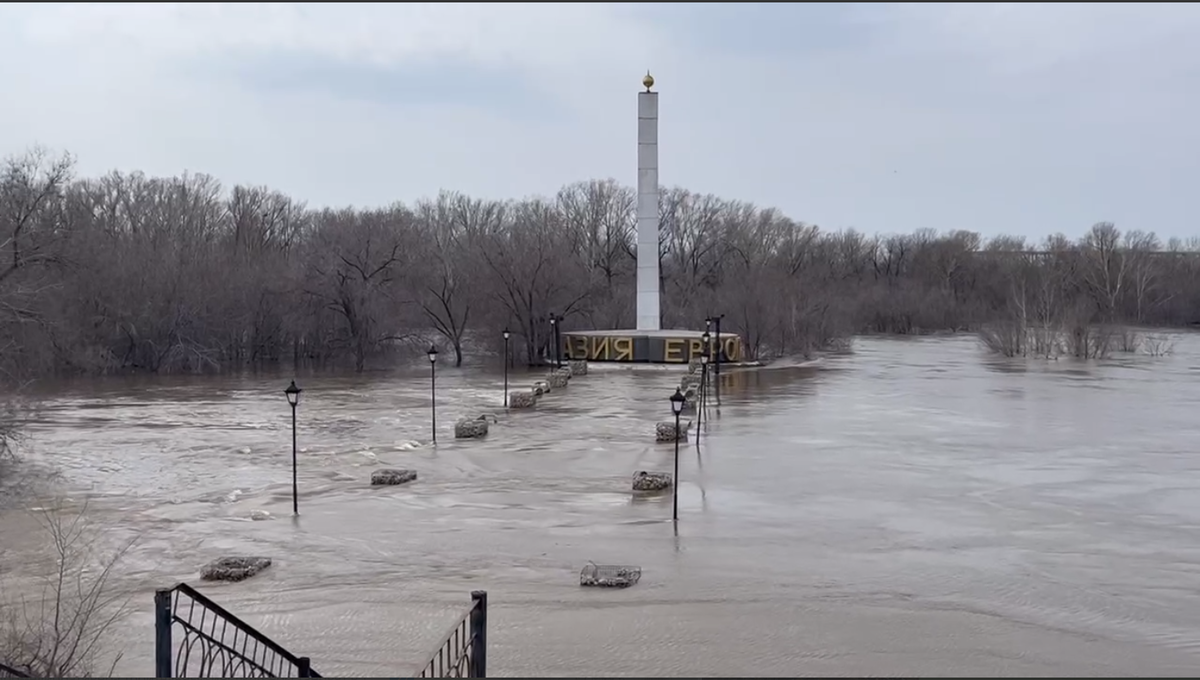 Фото: соцсети