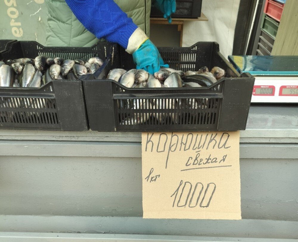 © vk.com/Наталья Берёзкина 