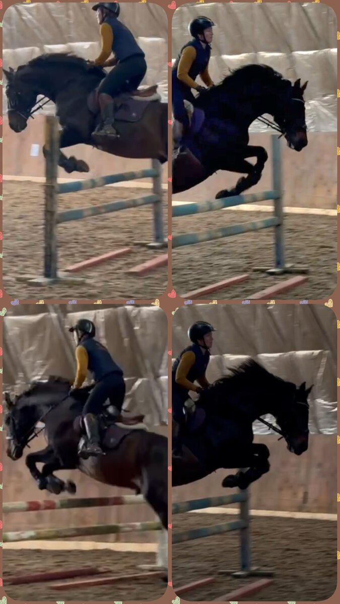 Арбат прыгает в ровень с палками, иногда цепляет