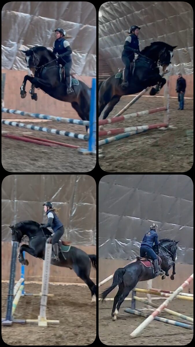 Мелкий Империал очень старается прыгать выше, каждый раз неожиданно для меня