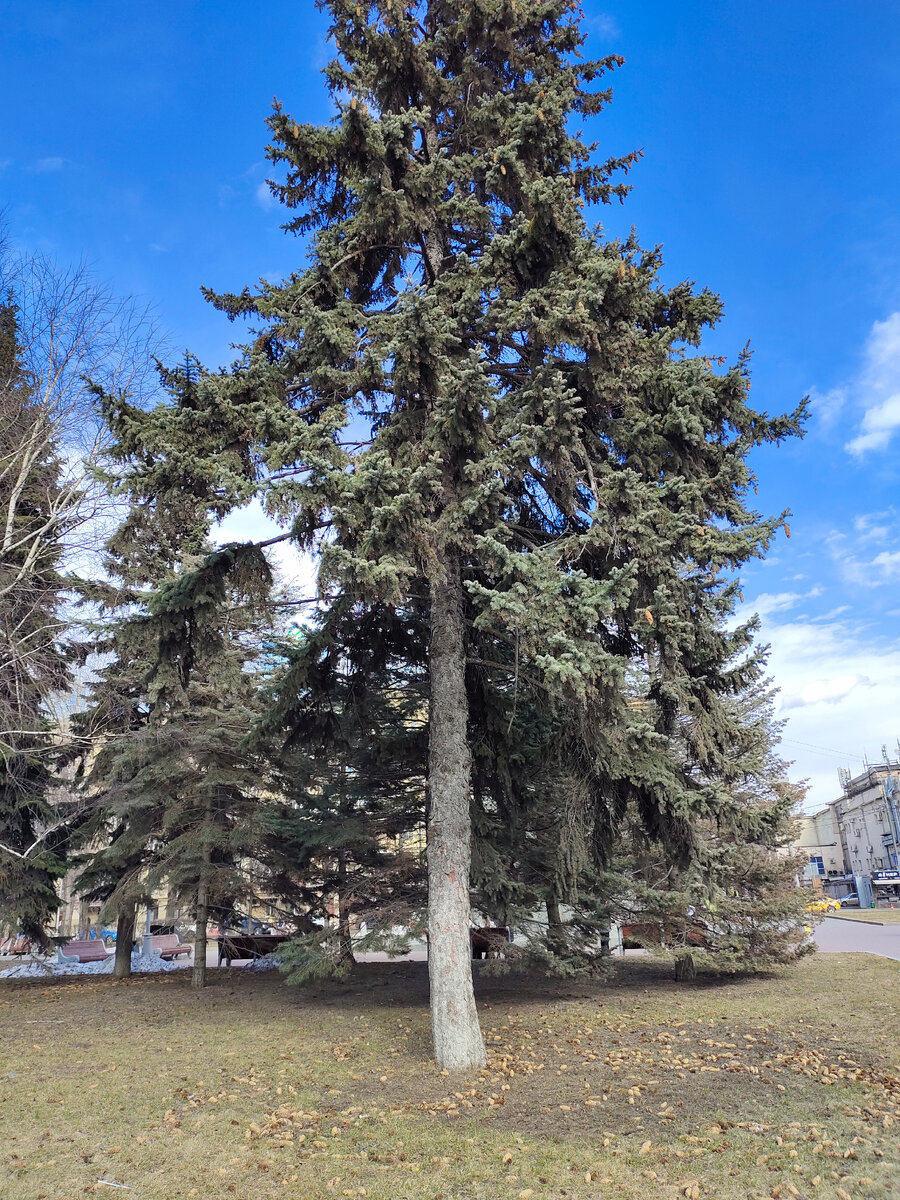 Нюансы жизни и работы в Москве для приезжих | ИСКРА | Дзен