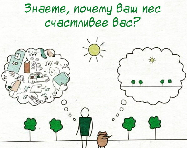 Источник https://psy-victory.ru