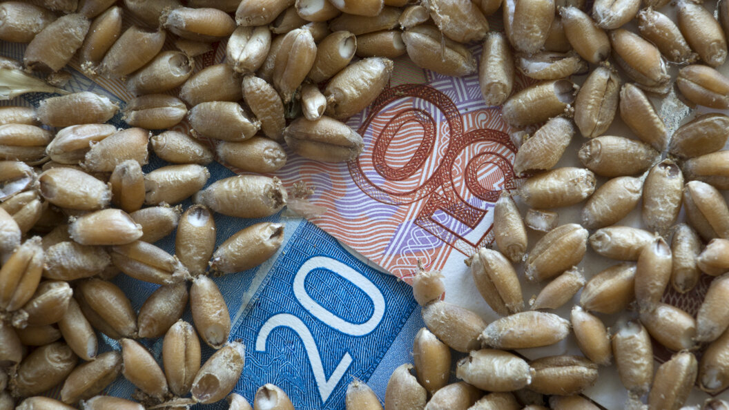    Nikolay Gyngazov/Globallookpress