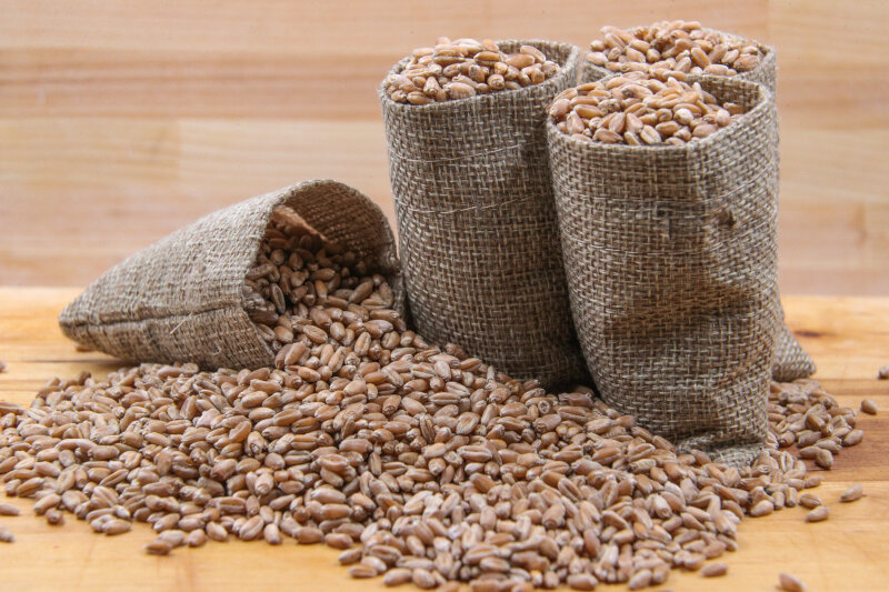    Фото: Bulkin Sergey/news.ru/Global Look Press