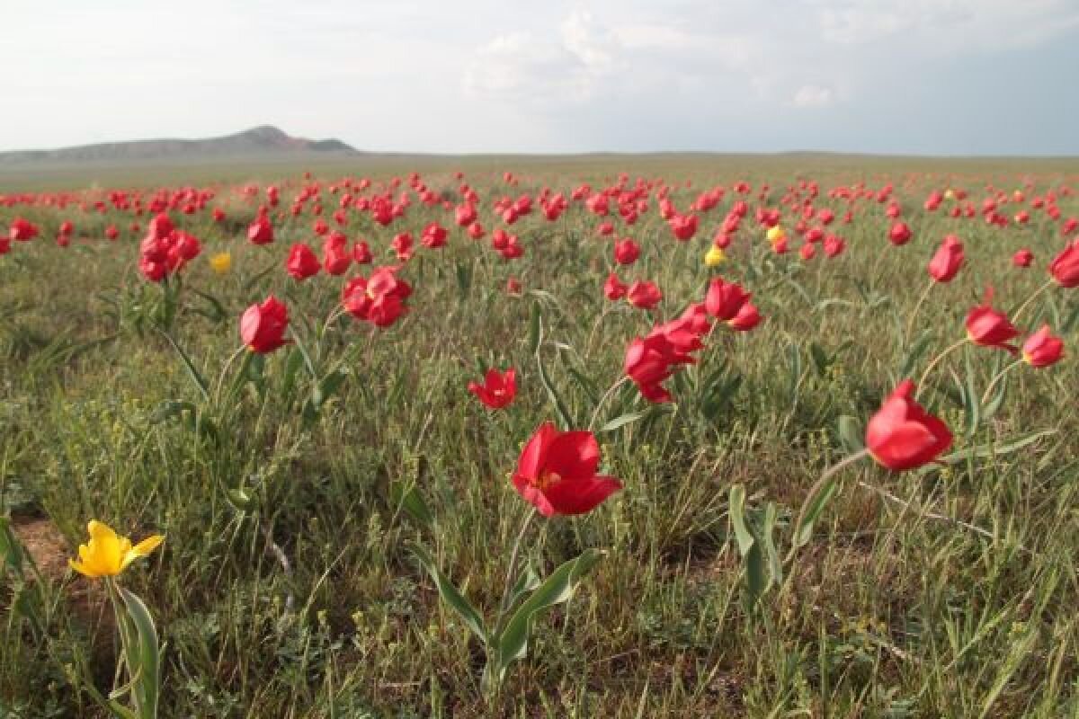 Фото: с сайта заповедника 