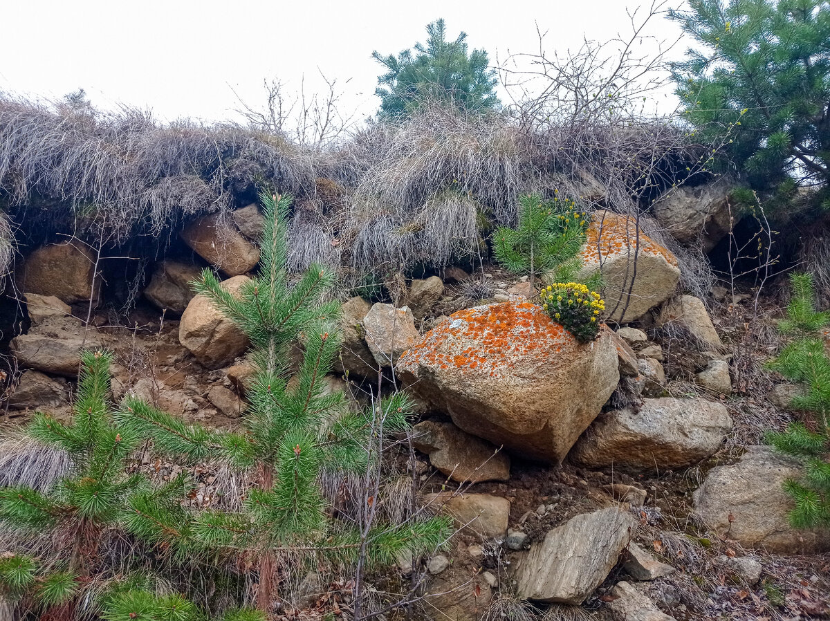 Пробирались через буераки