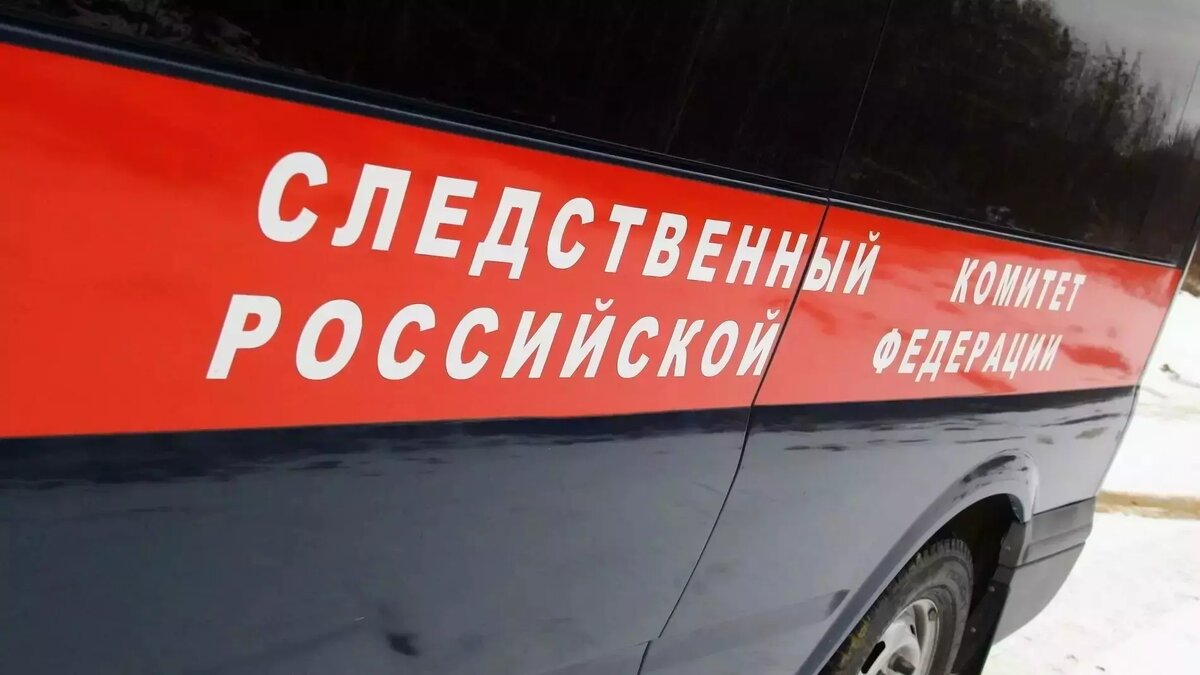     Доклад по обращению представит в центральный аппарат ведомства руководитель СУ СК Прикамья.