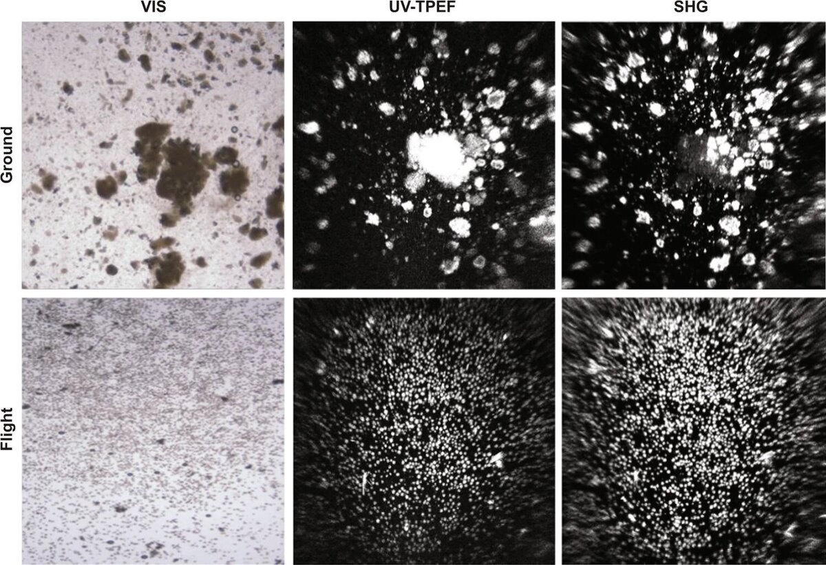 журнал Nature📷Верхняя панель — образец из наземного эксперимента. Нижняя панель — изображение суспензии, полученной на МКС