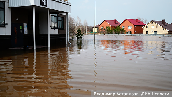     Фото: Владимир Астапкович/РИА Новости   
 Текст: Александра Юдина