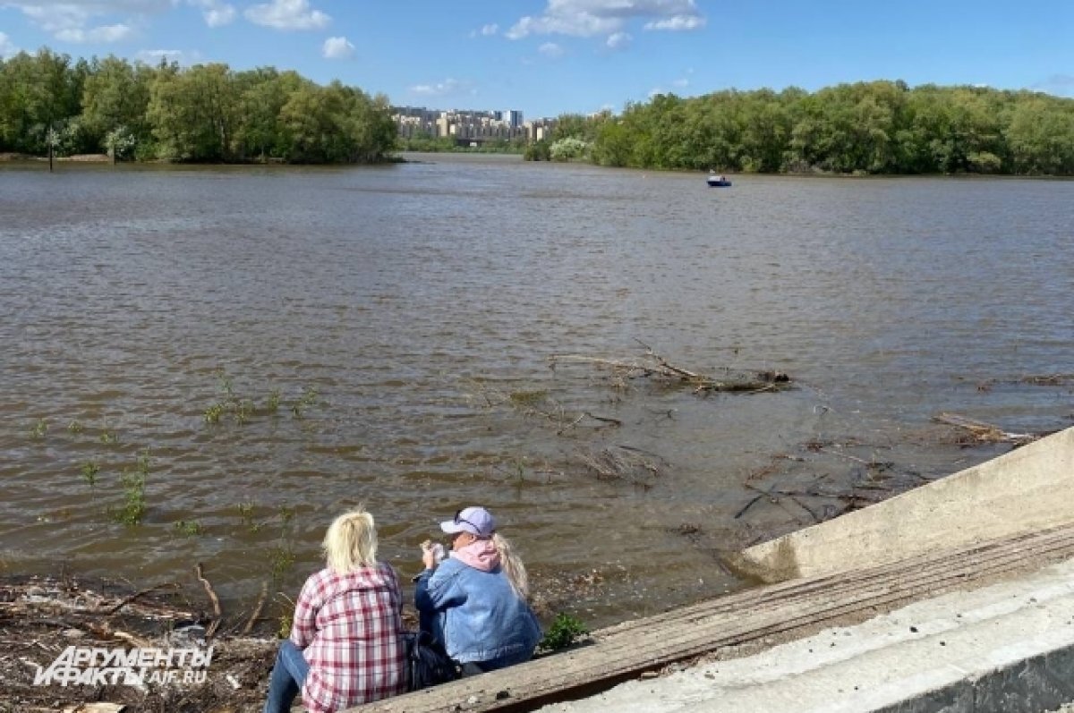 За сутки вода в Иртыше в Омской области поднялась на 12 сантиметров | АиФ- Омск | Дзен