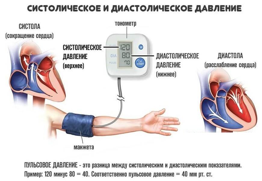 Диа т. Систолическое и диастолическое давление. Как измерить систолическое и диастолическое давление. Различия систолического артериального давления и диастолическое. Какое давление систолическое а какое диастолическое.