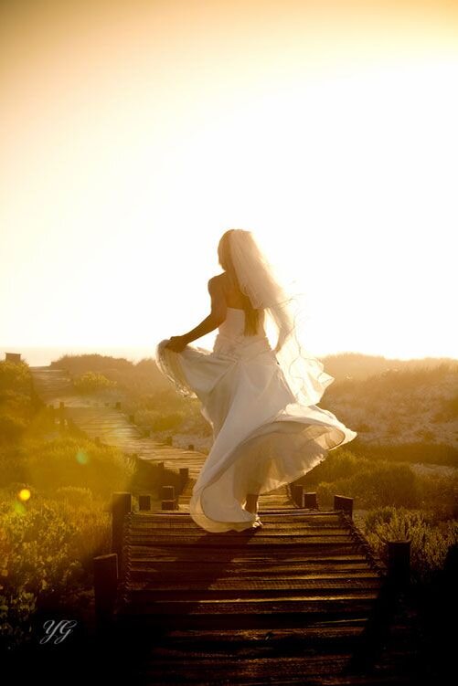 Фото взято с Яндекс картинки, в свободном доступе 