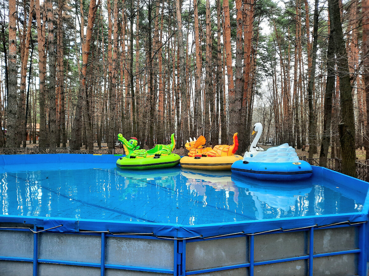 Мед елочки домодедово