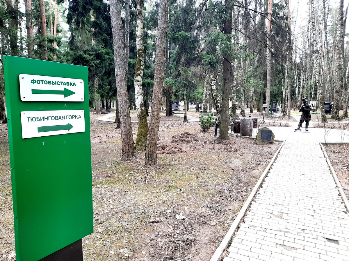Парк ёлочки в домодедово зимой