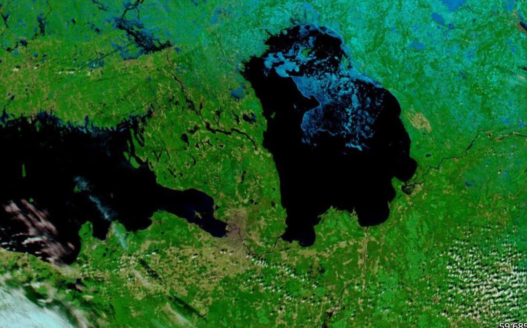 © Telegram/Александр Колесов