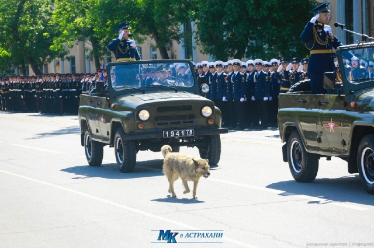    Репетиции парада на площади Ленина в Астрахани стартуют 16 апреля