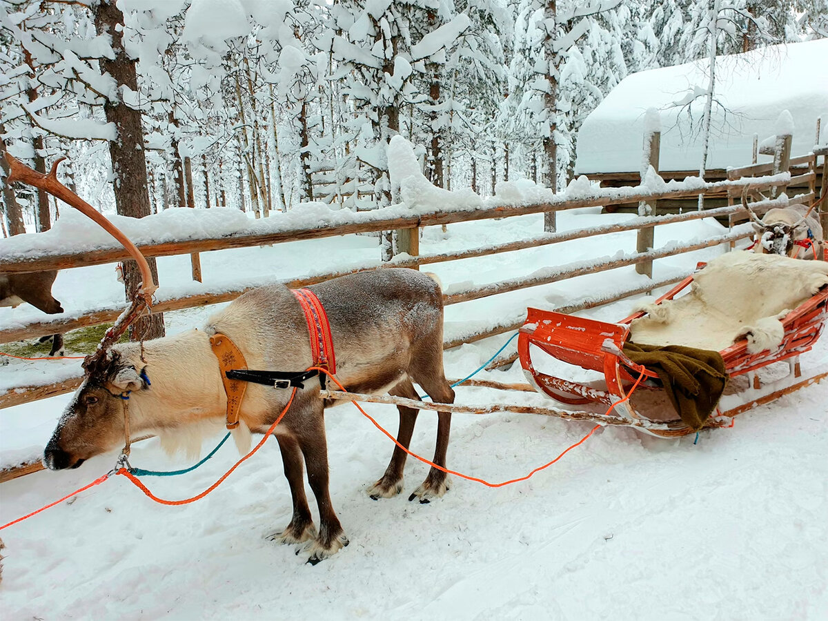 В 2021 году сотрудники Федеральной нотариальной палаты опубликовали любопытную статистику, что закладывают кредиторам граждане России.