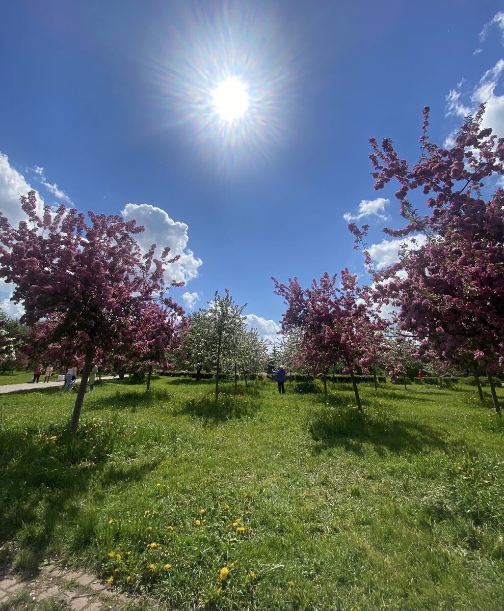 Здесь и далее фото автора