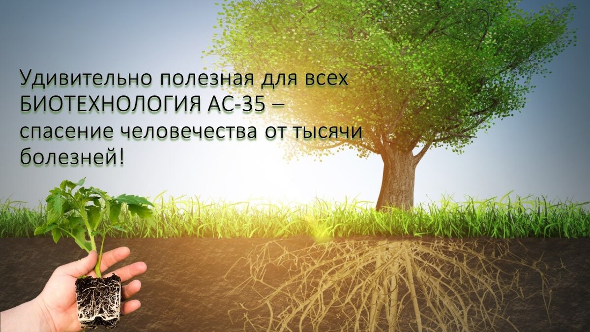 С помощью биотехнологии АС-35 мы можем решить проблемы продовольственной безопасности,  которые глобальны и актуальны во всём мире
