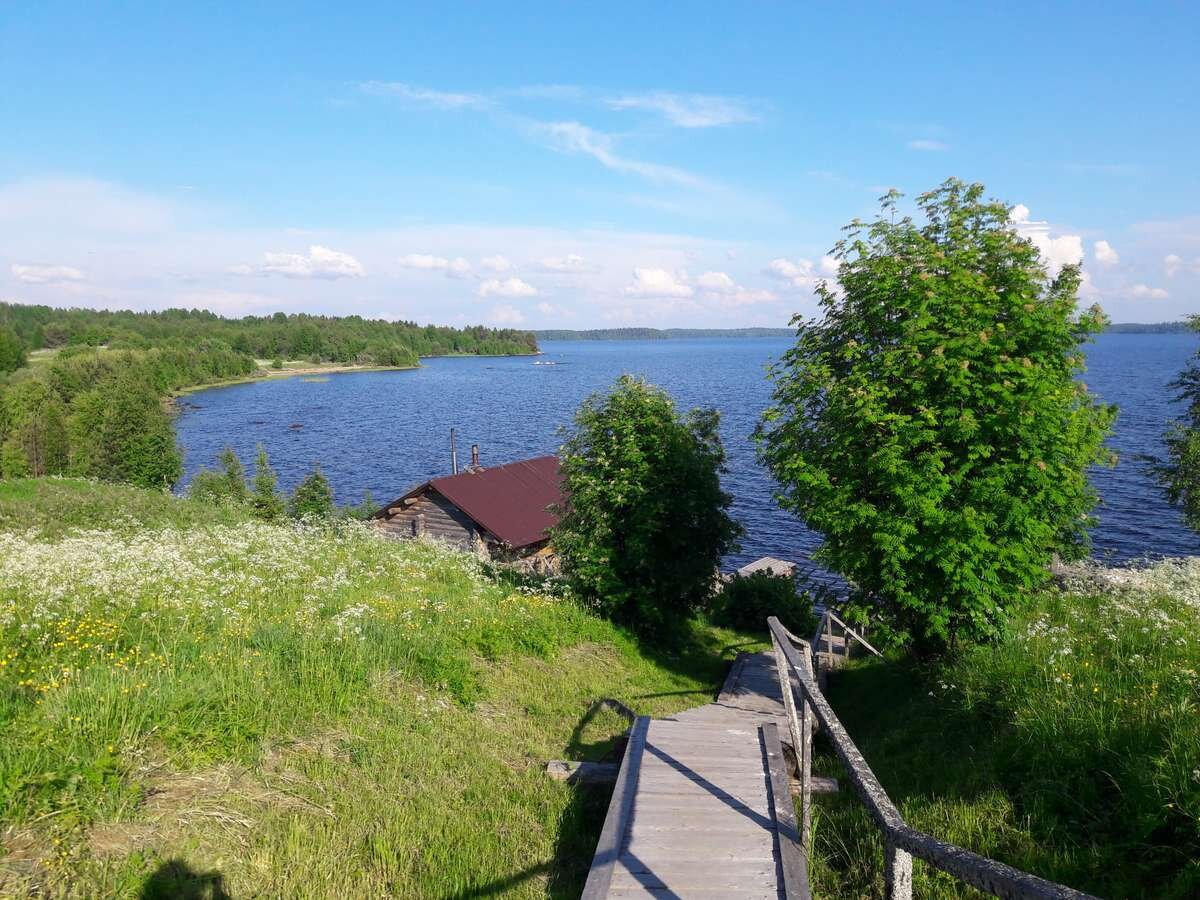 Заповедная Россия. Водлозерский национальный парк | В поисках заветных  координат | Дзен