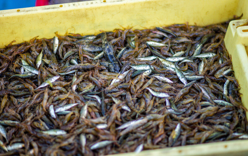    Фото: Jens Büttner/dpa/globallookpress