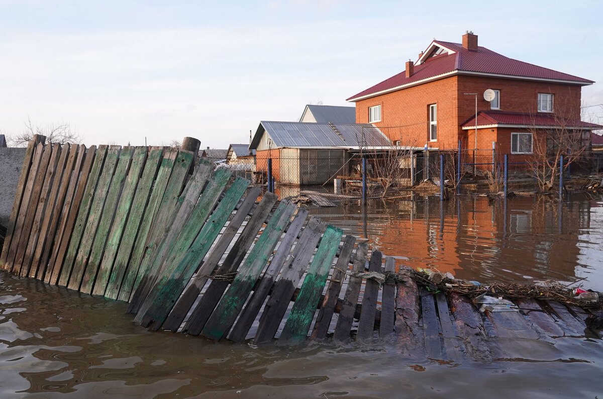   © ИЗВЕСТИЯ / Павел Волков
