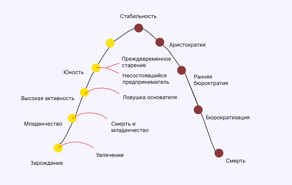 Жизненный цикл бизнеса: как получать выгоду от стартапа до банкротства |  Аспро.Cloud | Дзен