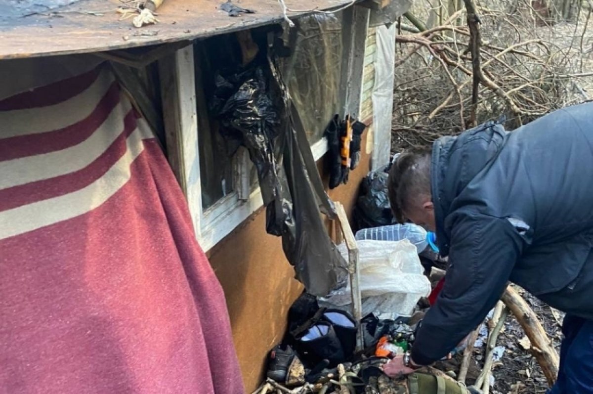    Стала известна дальнейшая судьба девочек, найденных в тульском лесу