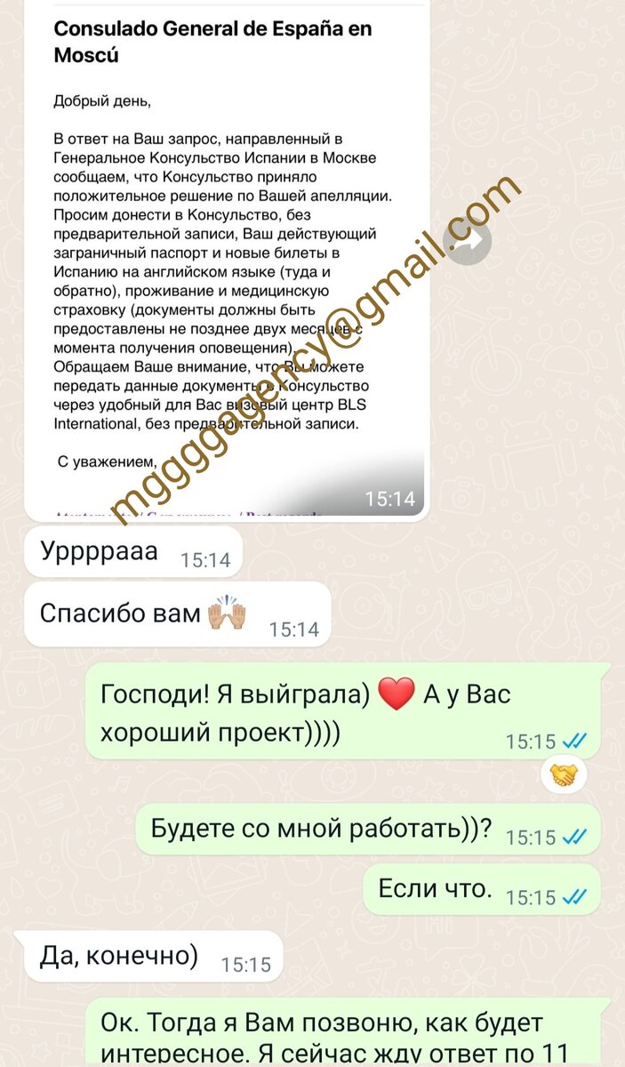 Положительное решение по апелляции на отказ в туристической визе в Испанию 