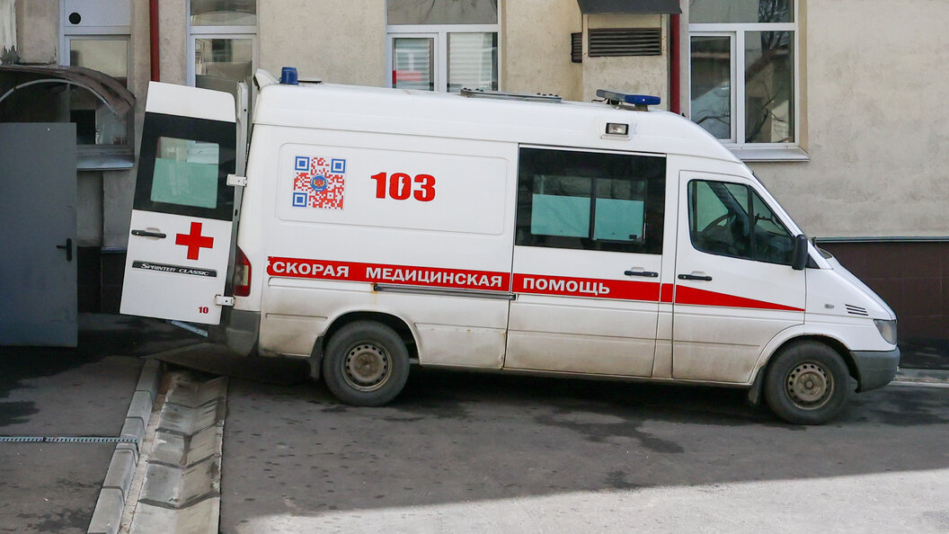    © Petrov Sergey news.ru/Globallookpress