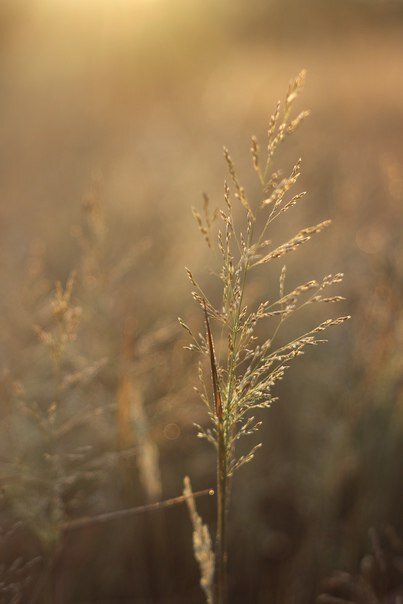 Фото: Николай Попов, город Вельск, Архангельская область. 