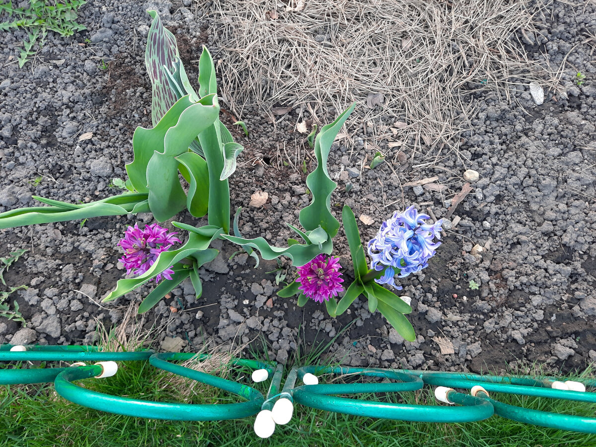 День на даче.