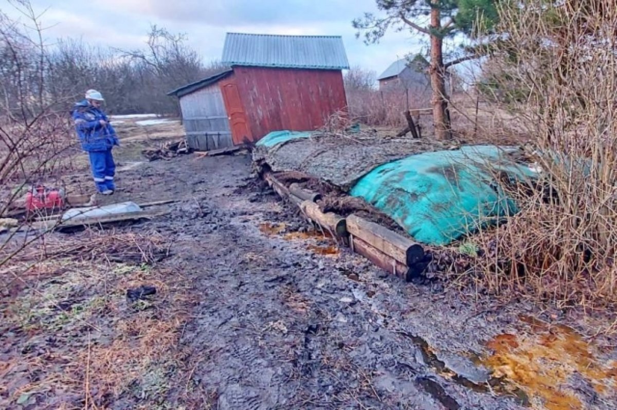    Двое мужчин в Тульской области наворовали дизельного топлива на 2 млн